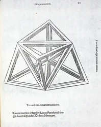 Tetraedron elevatum vacuum, illustration from 